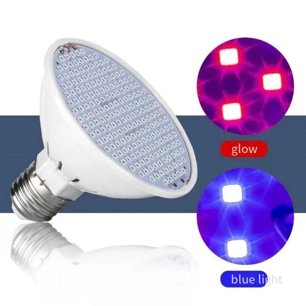 LED beauty lamp