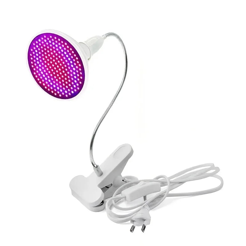 LED beauty lamp