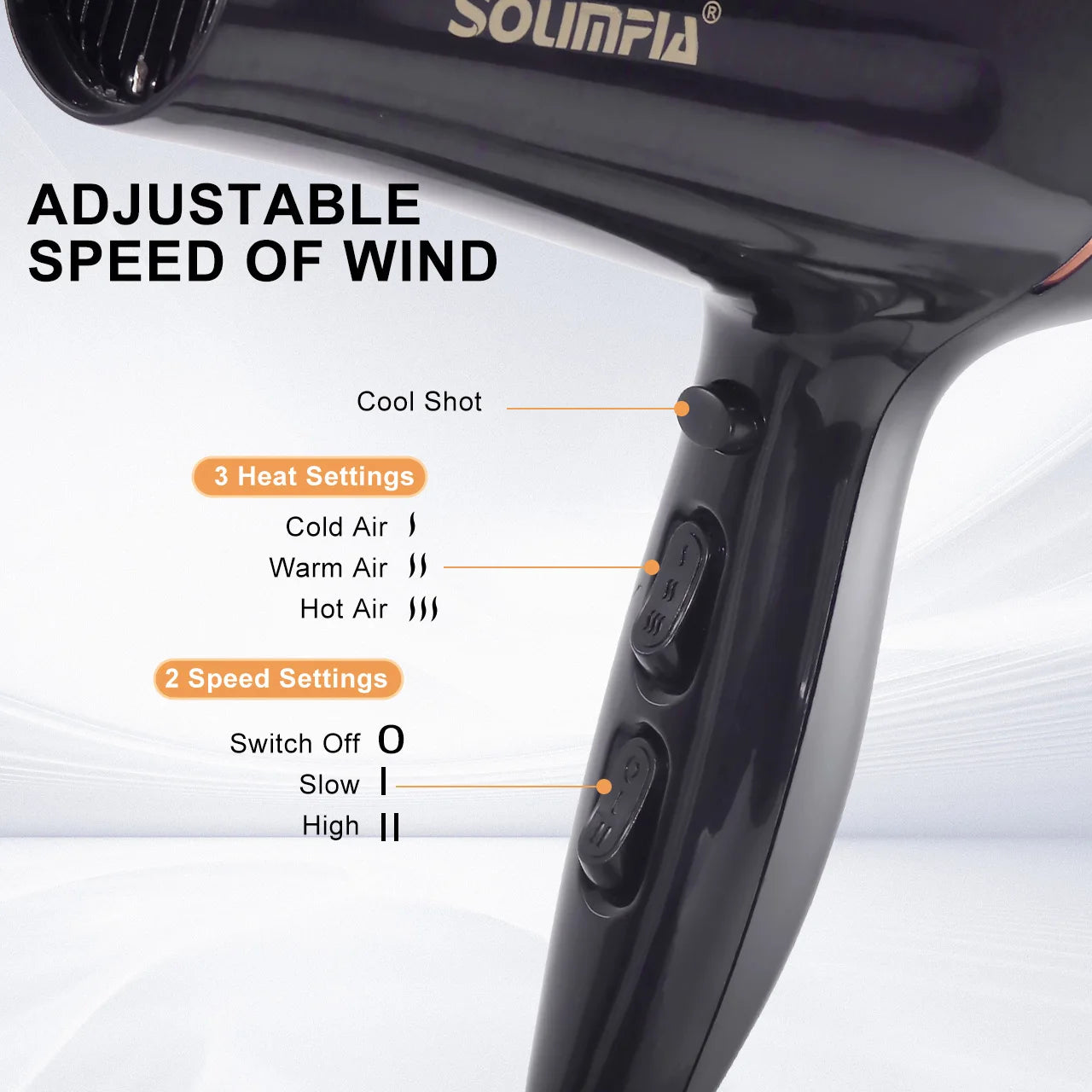 6-Level Professional Hair Dryer