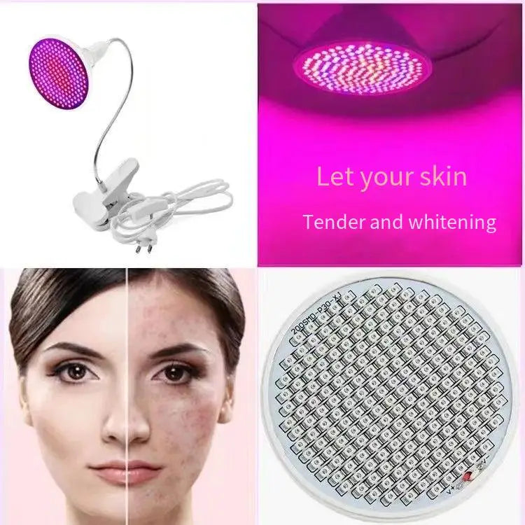 LED beauty lamp