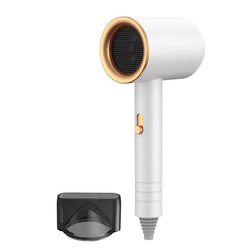Professional Salon Hair Dryer