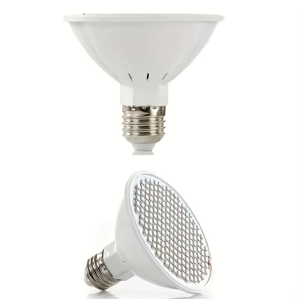 LED beauty lamp